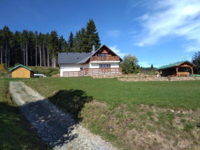 Javorník 88 Javornik